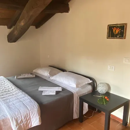 Antico Ospitale Di San Giacomo Zocca 旅馆 *