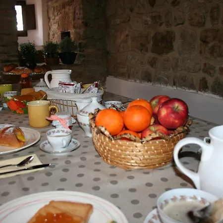 Antico Ospitale Di San Giacomo Zocca 旅馆